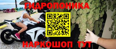 шишки Балашиха