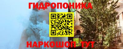 шишки Балашиха