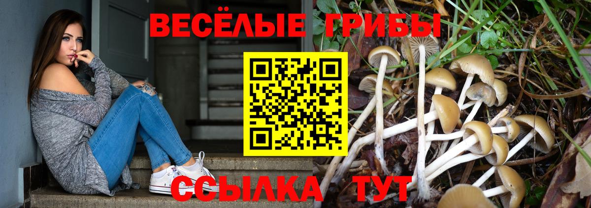 Псилоцибиновые грибы GOLDEN TEACHER  Реутов  Галлюциногенные грибы мицелий 