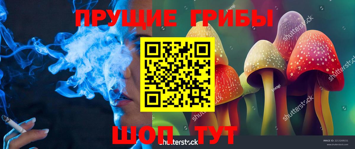 Псилоцибиновые грибы GOLDEN TEACHER Реутов
