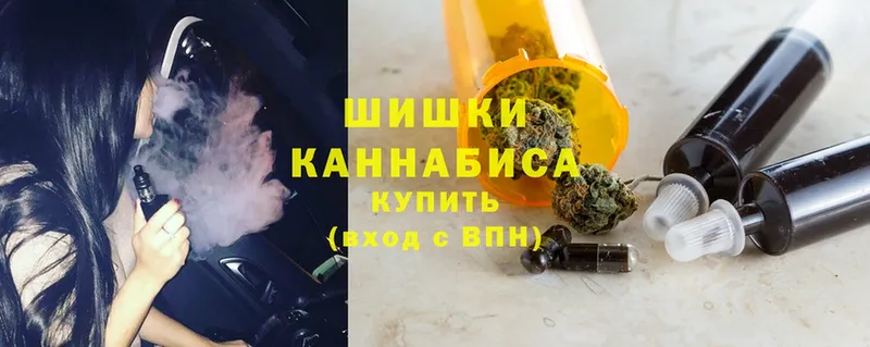 Бошки марихуана SATIVA & INDICA  дарнет шоп  Реутов 